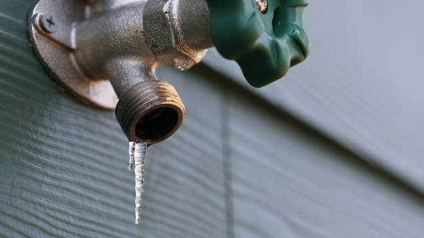 Best Leak Detection Services  in St Louis, MO